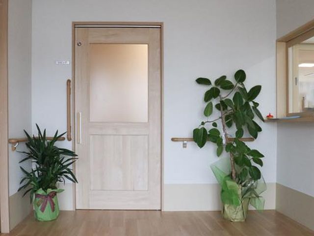 入口と観葉植物の廊下 廊下 観葉植物が並ぶ廊下は、明るく優しい雰囲気で、自然とリラックスできます。