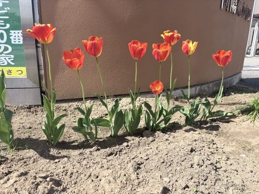 施設前の花壇  