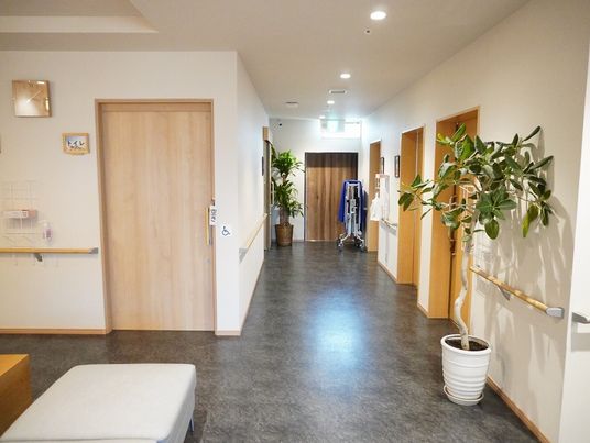 清潔な廊下とドア