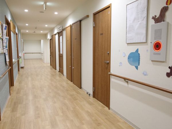 廊下の明るい空間