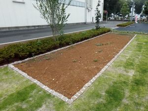整えられた庭  