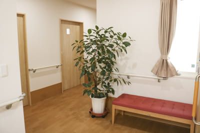 植物とベンチの廊下