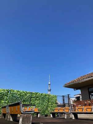 東京スカイツリーが見える庭  