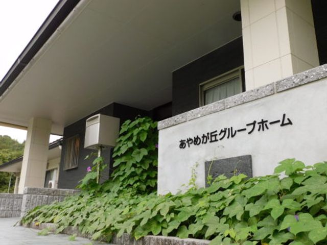 緑に囲まれた外観 外観 施設のエントランスは、豊かな緑に彩られた温かみのある空間です。穏やかな雰囲気が魅力です。