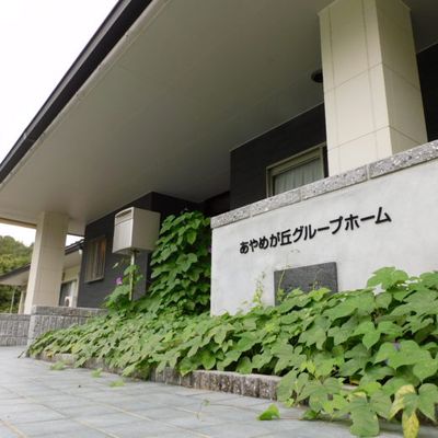 緑に囲まれた外観