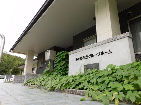 緑に囲まれた施設外観  