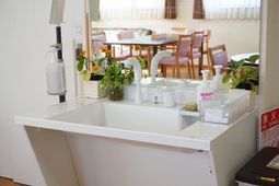 清潔な洗面台と植物