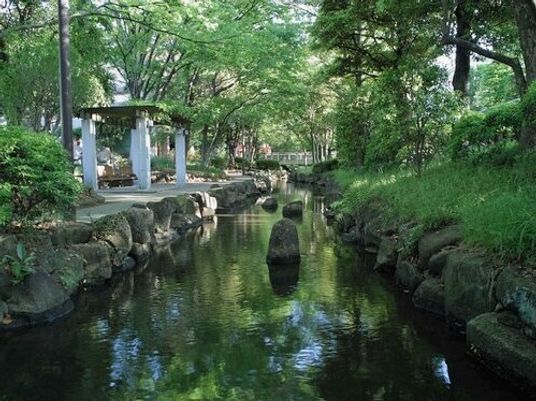 緑豊かな中庭の風景
