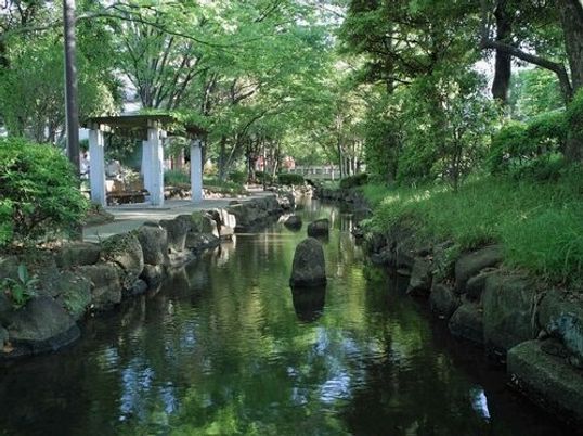 緑豊かな中庭の風景