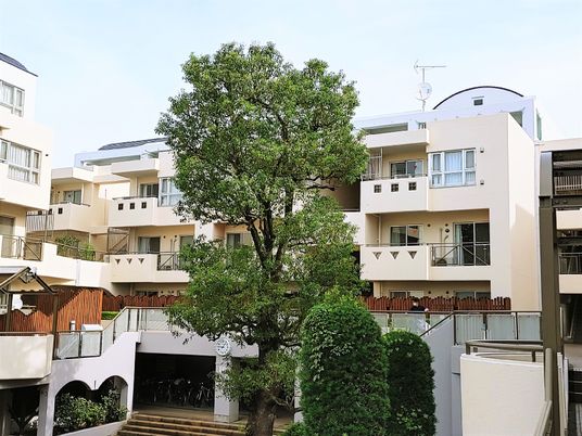 明るい外観のモダンな建物