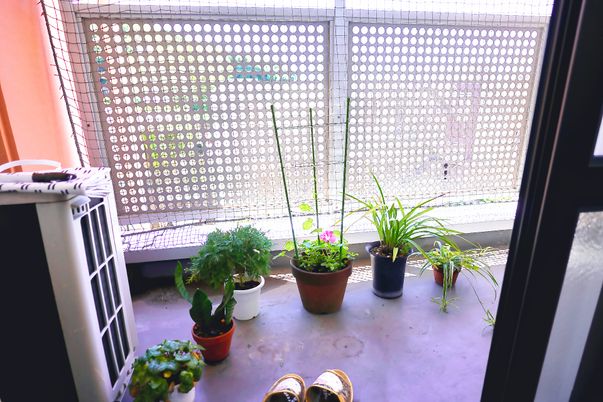 緑あふれる明るいテラス