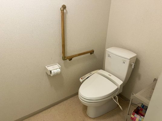 手すり付きの清潔なトイレ