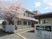 桜と建物の外観  