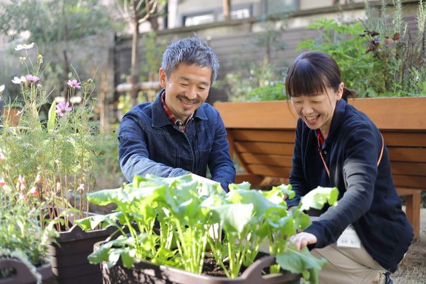 植物を育てる庭