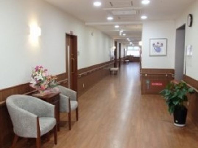 廊下の明るい空間 廊下 ゆとりある廊下は明るく開放感があり、植物やソファが心地よい休息を提供しています。