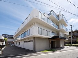 都会の明るい建物
