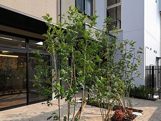 植栽のある外観  