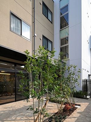 新緑の中庭光景