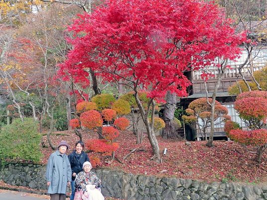 紅葉と人々の中庭