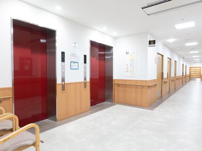 清潔な廊下のエレベーター