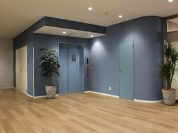 明るい廊下と植物