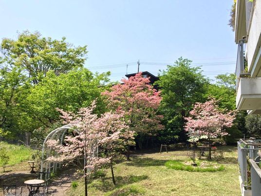 緑豊かな庭の春景色