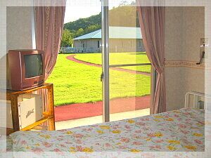 明るい居室の窓辺