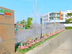 花壇が彩る施設外観