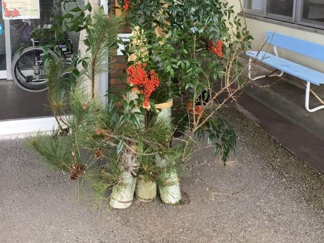 観葉植物が並ぶ玄関前 エントランス   玄関前に観葉植物や赤い実の飾りが置かれています。明るく落ち着いた雰囲気で、来訪者を迎えやすい印象です。