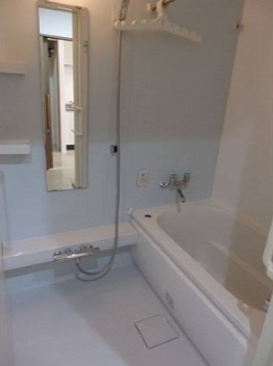 浴室の清潔な空間