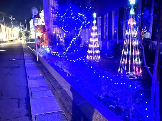 青く光る庭の外観  