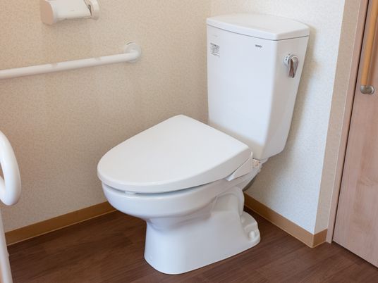 手すり付きの清潔なトイレ