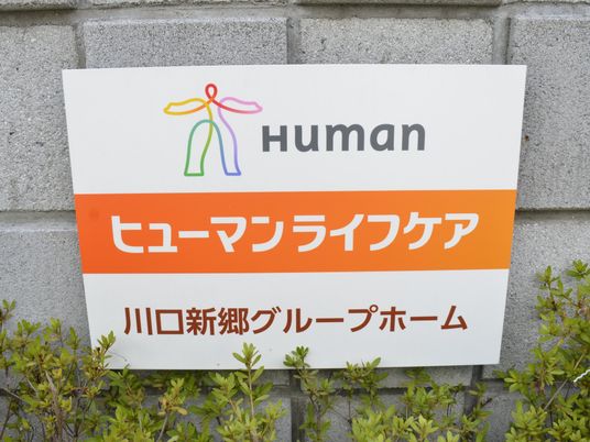 看板前の緑の植物