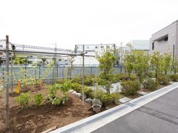 新緑の庭園スペース