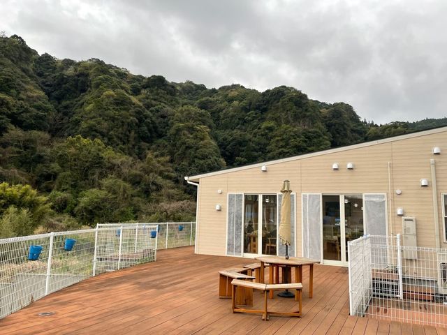 緑豊かなテラス 内観 自然を身近に感じる木のテラスです。ここでのひとときは、ご利用者様の憩いの場となっております。