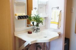 清潔な洗面台の詳細