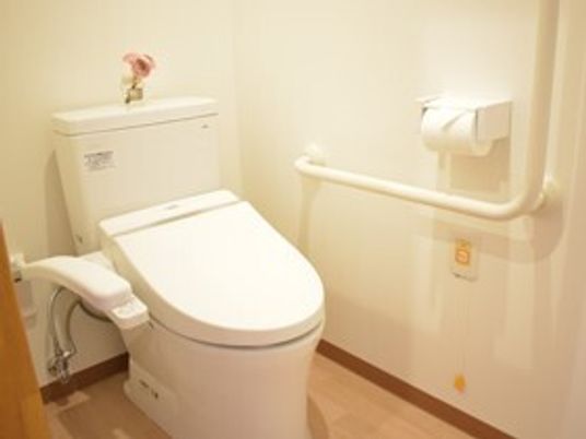 手すり付き清潔なトイレ