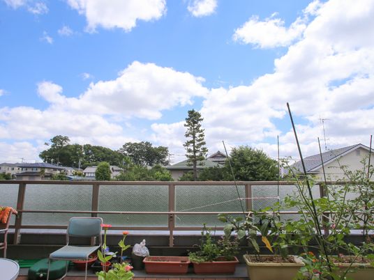 ベランダの植物と空