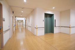 清潔な廊下とエレベーター