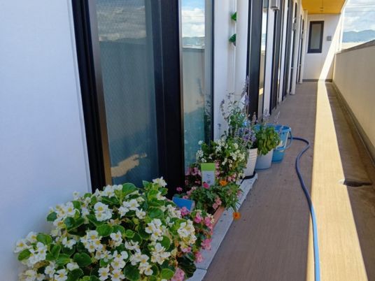 花のある外廊下  