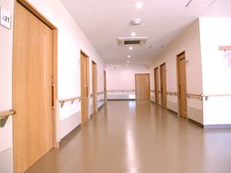 清潔な廊下の様子