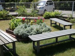 緑豊かな庭とベンチ