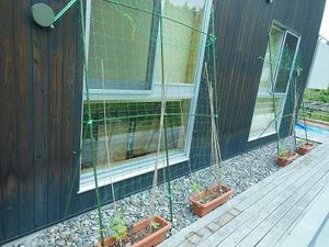 木目外壁のテラス  