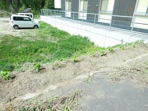 建物横の草地と駐車場の外観  