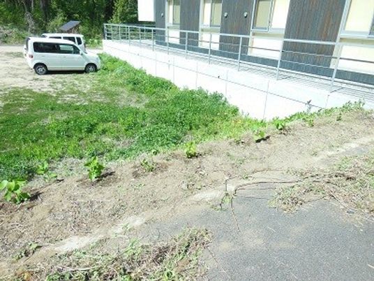 建物横の草地と駐車場の外観  
