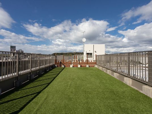 屋上の緑豊かなテラス