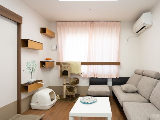 暖かみのある居室内装