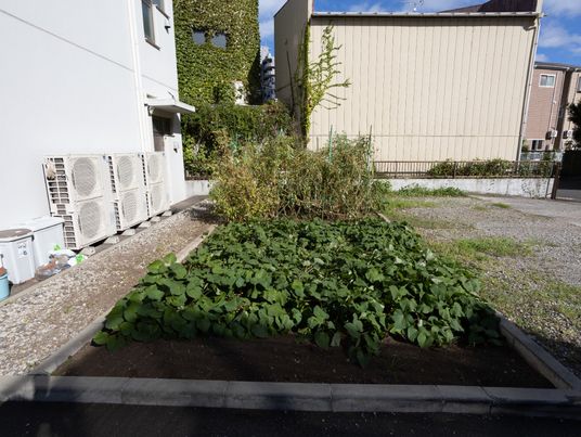 施設の小さな庭