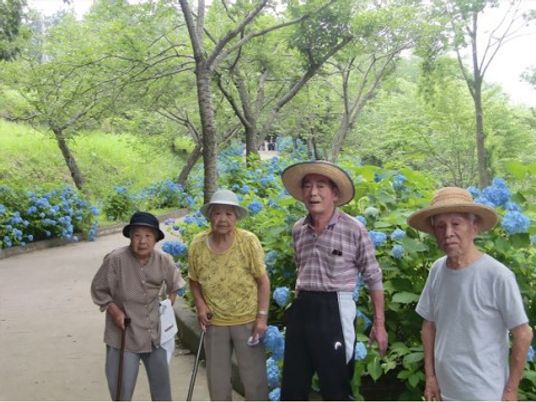 青紫陽花と散策する人々