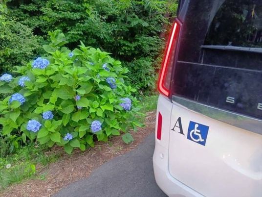 送迎車とあじさいの外観  